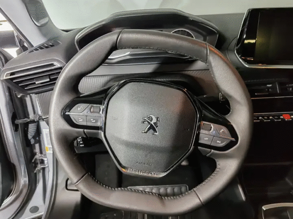 Peugeot 2008 1.2 puretech Active Pack + Câmera - Image 13